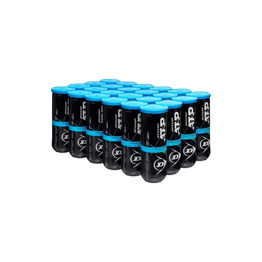[601349-24] Dunlop pelotas ATP Championship Extra Duty (caja)