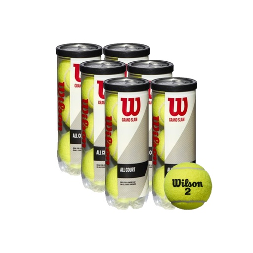[T1043-6] Wilson Pelotas Grand Slam (6-pack)