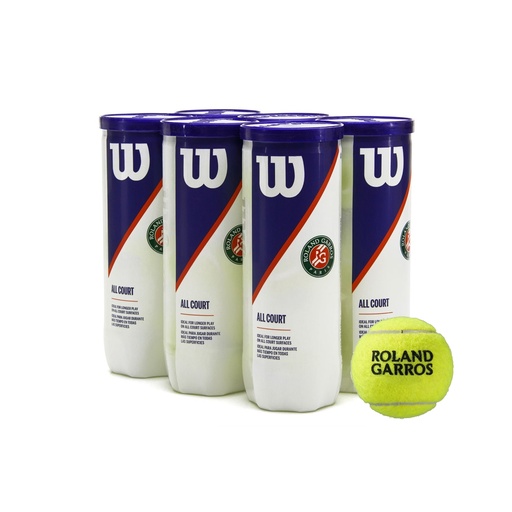 [WRT1264E-6] Wilson Pelotas Roland Garros All Court (6-pack)
